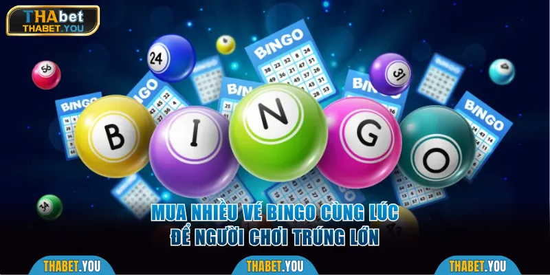 Mua nhiều vé Bingo cùng lúc để trúng lớn